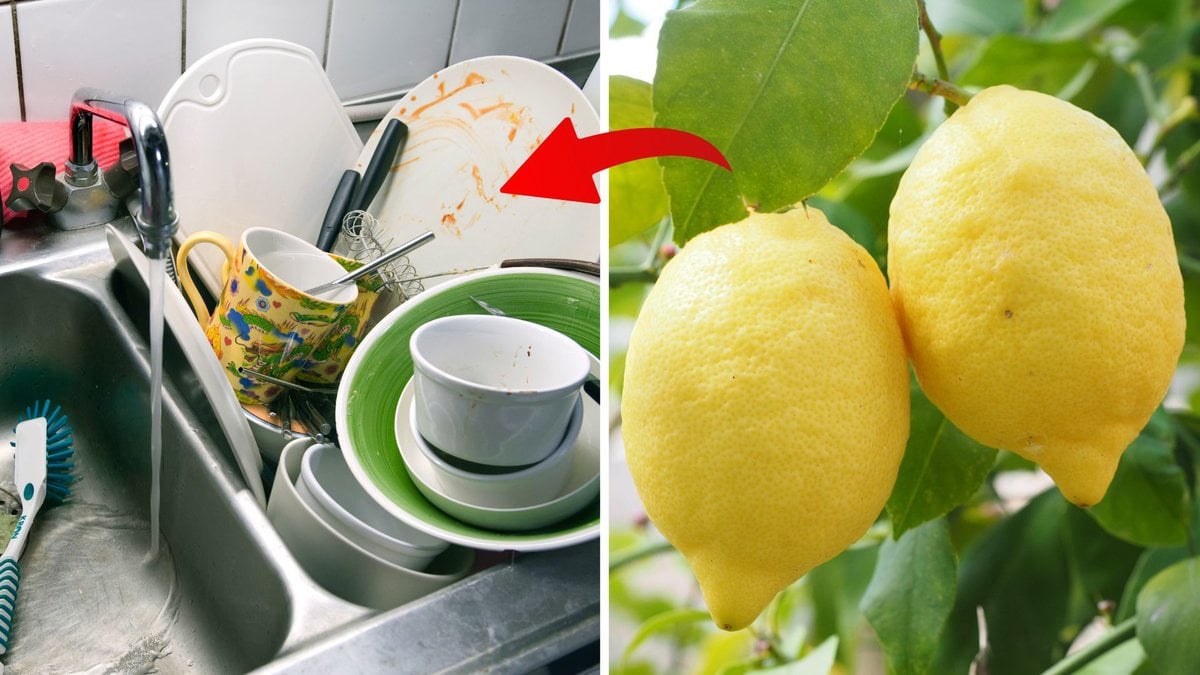 Citron kan fungera som diskmedel.